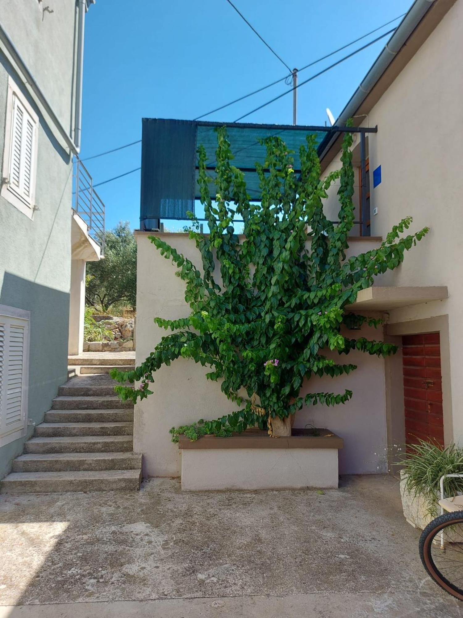 Apartmani Bugenvilija Brbinj ภายนอก รูปภาพ
